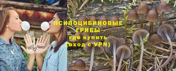 ПСИЛОЦИБИНОВЫЕ ГРИБЫ Волосово
