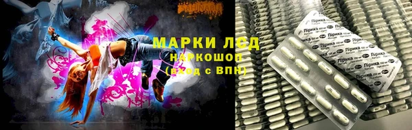 гидра Ветлуга