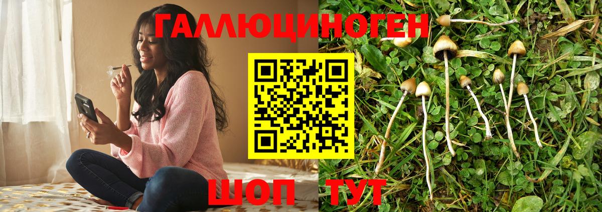 Псилоцибиновые грибы мухоморы  Вход с VPN  Гай 